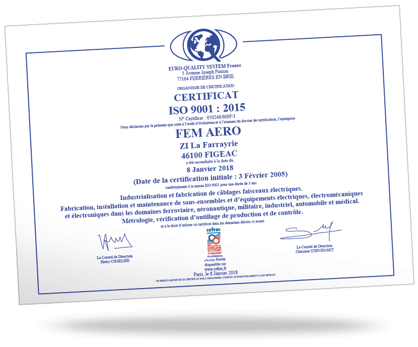 iso 9001 2015 fem