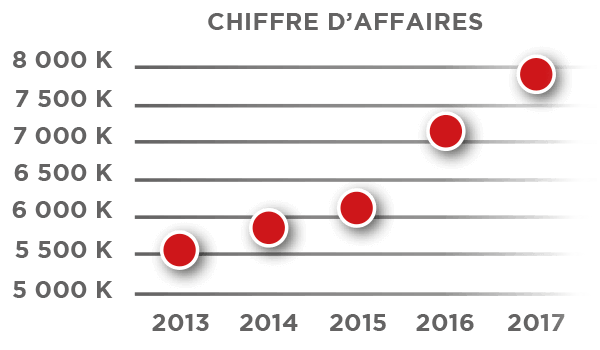 chiffre affaires fem technologies